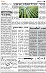 06_ Jan _ Lo_ page_ 2